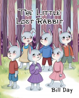 Cover of the book The Little Lost Rabbit by Jean M. Thelusma