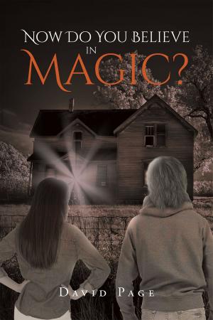 Cover of Now Do You Believe in Magic?