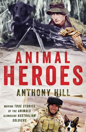 Cover of the book Animal Heroes by Patricia Wrightson
