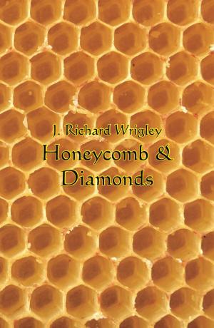 Cover of the book Honeycomb & Diamonds by Kathryn Fry