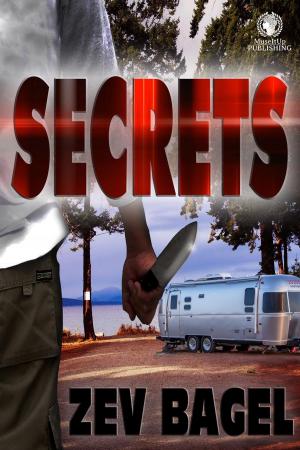 Cover of the book Secrets by Wendy Laharnar