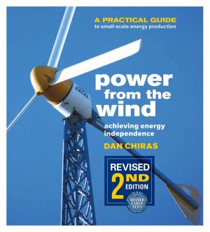 Cover of the book Power from the Wind by Cecile Andrews