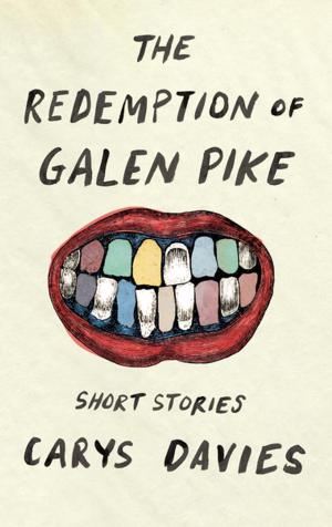 Book cover of The Redemption of Galen Pike