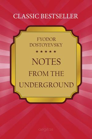 Cover of the book Notes from Underground by Романов, Александр