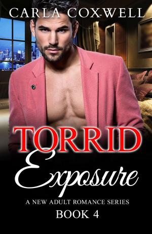 Cover of the book Torrid Exposure - Book 4 by Rachel Richards