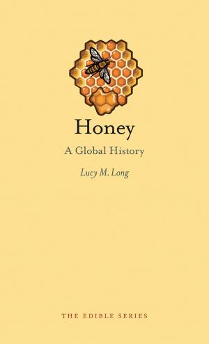 Cover of the book Honey by John Sorenson