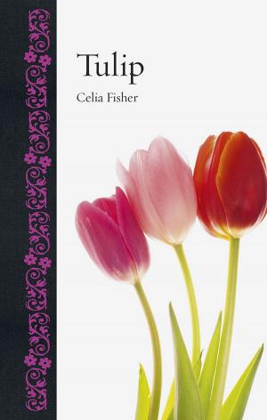 Cover of the book Tulip by Damian Flanagan