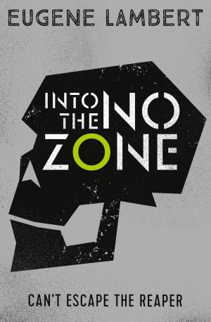 Cover of the book Into the No-Zone by Cate Shearwater, Catherine Bruton