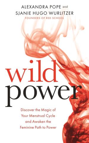 Book cover of Wild Power