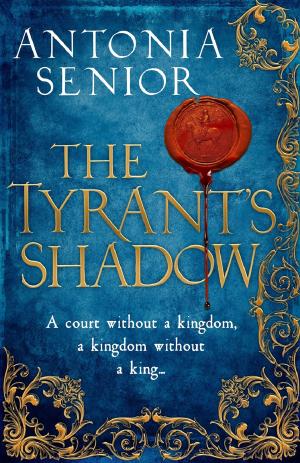 Cover of the book Tyrant's Shadow by Jean Fullerton
