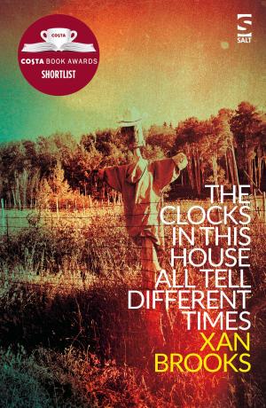 bigCover of the book The Clocks in This House All Tell Different Times by 