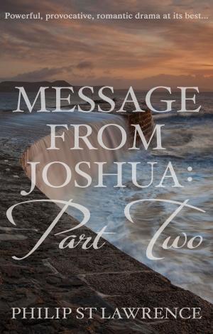 Book cover of Message from Joshua: Part Two