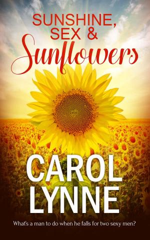 Book cover of Sunshine, Sex & Sunflowers