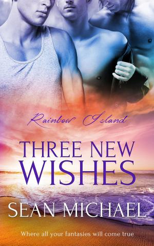 Cover of the book Three New Wishes by Pamela L. Todd