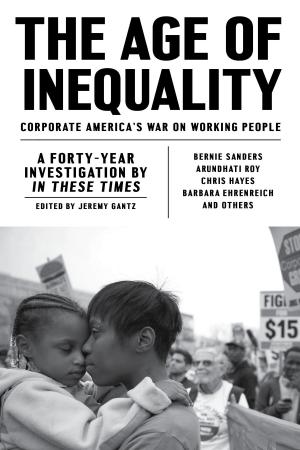 Book cover of The Age of Inequality