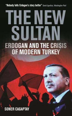 bigCover of the book The New Sultan by 