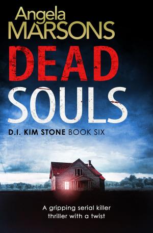 Cover of the book Dead Souls by D.K. Hood