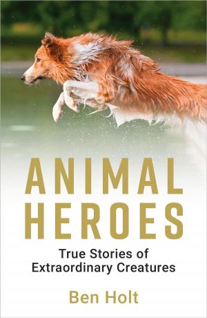 Cover of the book Animal Heroes: True Stories of Extraordinary Creatures by Ed Cobham