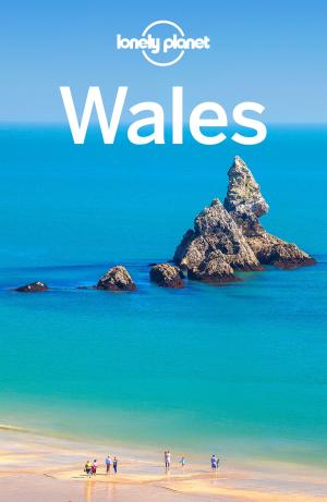 Book cover of Lonely Planet Wales
