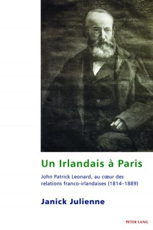 Cover of the book Un Irlandais à Paris by Frederike Stinshoff