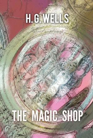 Book cover of The Magic Shop
