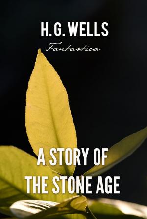 Cover of the book A Story of the Stone Age by Max Beerbohm