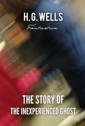 Book cover of The Story of The Inexperienced Ghost