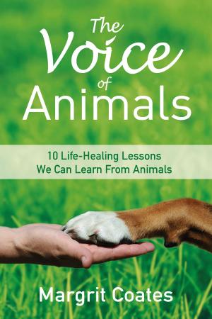 Cover of the book The Voice of Animals by Amanda Parkyn