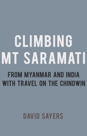 Cover of the book Climbing Mt Saramati by Ellis Amdur
