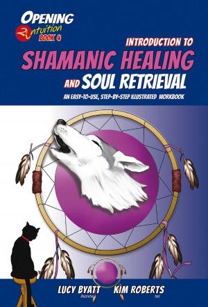 Cover of the book Introduction to Shamanic Healing and Soul Retrieval by Gustav Pagenstecher