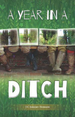 Cover of the book A Year in a Ditch by Chris Foote Wood