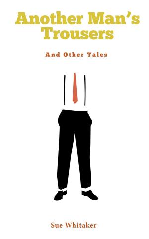 Cover of the book Another Man's Trousers by Jeremiah D. MacRoberts