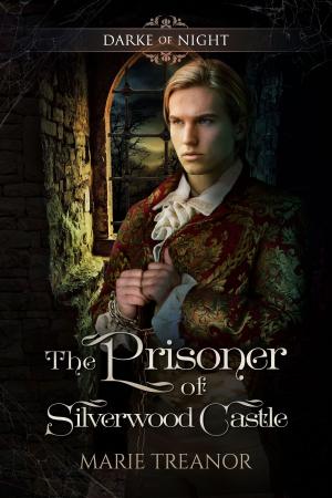 Cover of the book The Prisoner of Silverwood Castle by Marie Treanor