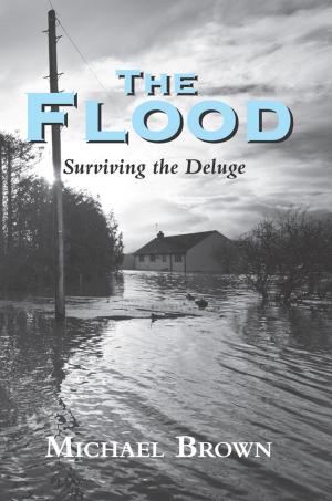 Cover of the book The Flood by Hugh Cran