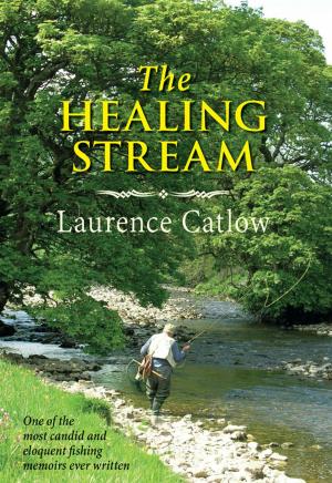 Cover of the book The Healing Stream by Negley Farson