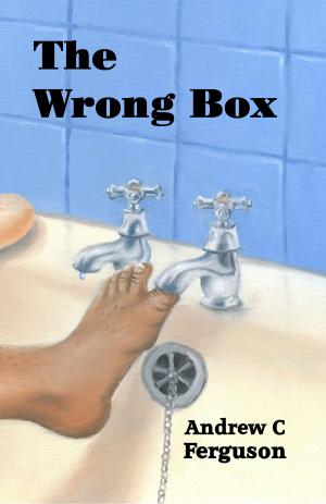 Cover of the book The Wrong Box by Suzanne d'Corsey