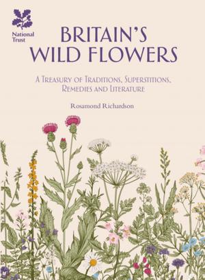 Cover of the book Britain's Wild Flowers by Rob Eastaway