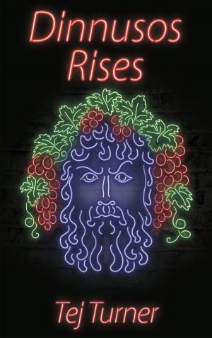 Cover of the book Dinnusos Rises by Ira Nayman