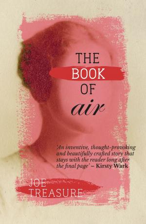 Cover of the book The Book of Air by NJ Ayuk, João Gaspar Marques