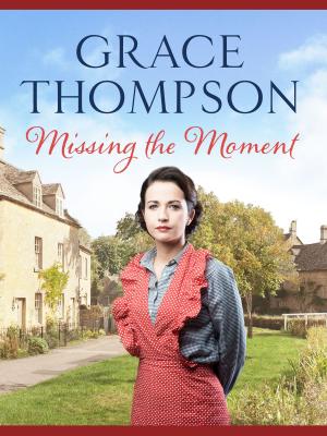 Cover of the book Missing the Moment by Grace Thompson
