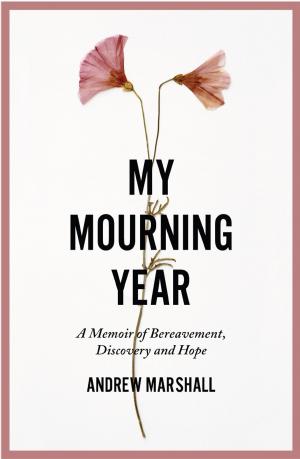 Cover of the book My Mourning Year by Amy Wallace