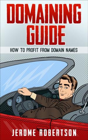 Book cover of Domaining Guide