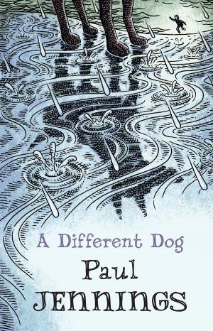 Cover of the book A Different Dog by Mandy Sayer