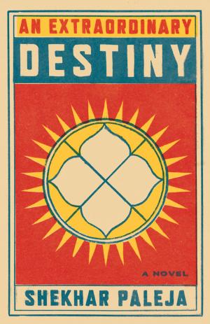 Cover of the book An Extraordinary Destiny by Rebecca Hendry