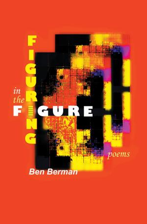 Cover of the book Figuring in the Figure by Maureen Garth