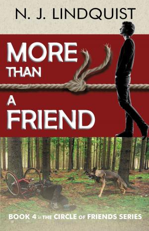 Cover of the book More Than A Friend by J. A. Menzies