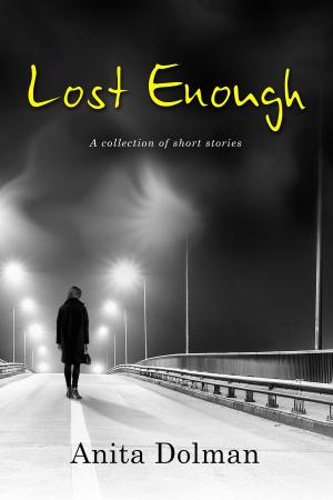 bigCover of the book Lost Enough by 