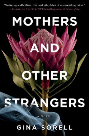 Cover of the book Mothers and Other Strangers by Jill Orr