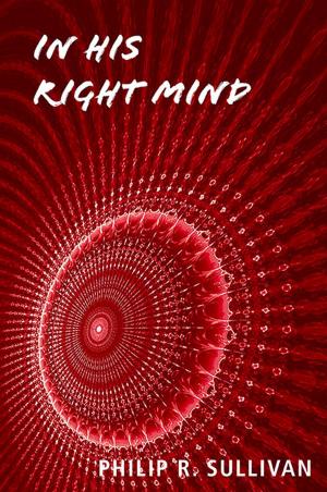 Cover of the book In His Right Mind by Stephen J. Schrader