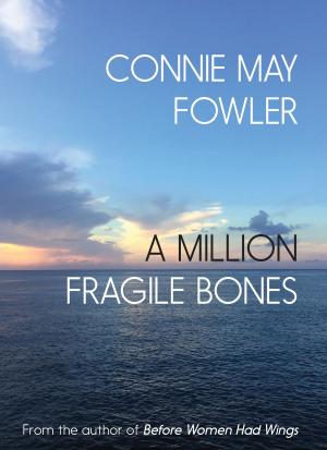 Book cover of A Million Fragile Bones